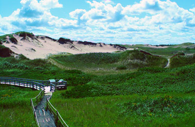 We are close to 
Greenwich National Park, Prince Edward Island